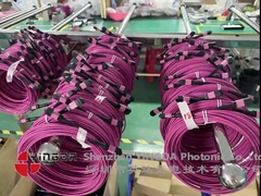 12 Włókna MPO Kobieta łącznik patch Cord OM4 50/125um Elite Loss 0,35dB Purple Polarity A
