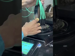 12 włókien OM3 10Gig MTP Kabel MPO, Kabel trunkowy MPO - MPO 12 F.O. OM3 15 Mts