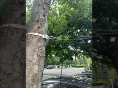 Zacisk kotwiczący do kabli napowietrznych FTTH z włókna optycznego do kabli ADSS 8-12mm