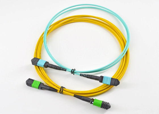 kupować Mpo patch cord wnętrze patch cord ftth Fiber optic patch cord produkcja online