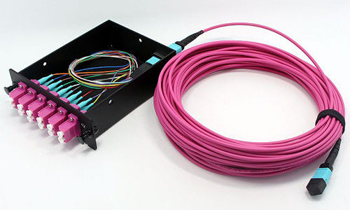 kupować Włókno optyczne MPO MTP Kabel 8 Włókno OM4 LSZH Jacket do połączeń sieciowych Data Center produkcja online