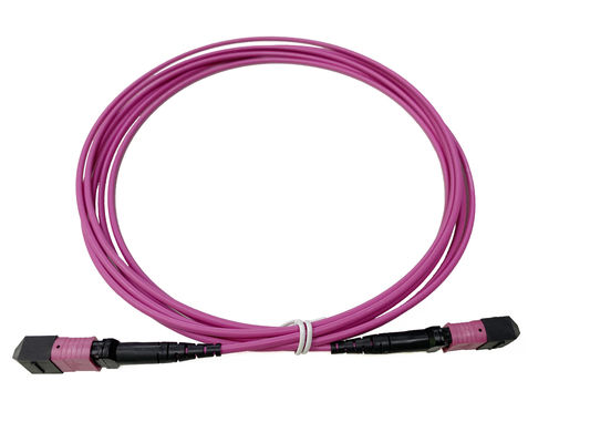 kupować 12 rdzeni OM4 Włókno optyczne MTP MPO Kabel Patch Cord dla optymalnej wydajności sieci Data Center produkcja online
