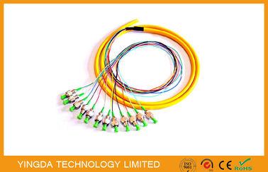 kupować Patch panel APC / FC Fiber Optic Pigtail / Patch Cordes 8 rdzeni 12 rdzeni Zielony Bufor Szczelny produkcja online