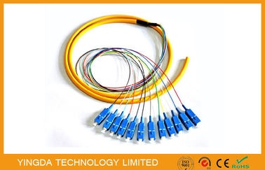 kupować Przemysł 12 światłowód SC Fiberoutic Pigtail Breakout, światłowód FTTH SM LSZH SC Pigtail Corning Fiber G652D produkcja online