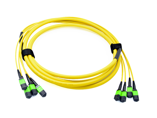 kupować USCONEC 48 Fibres Optyczny kabel krosowy MTP żeński do montażu kabli ciężarówek do centrum danych produkcja online